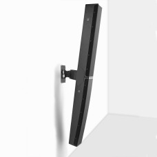 Swivel and tilt bracket for a pair of P10s